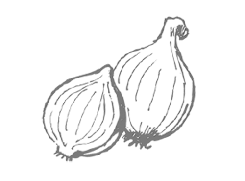 Zwiebel